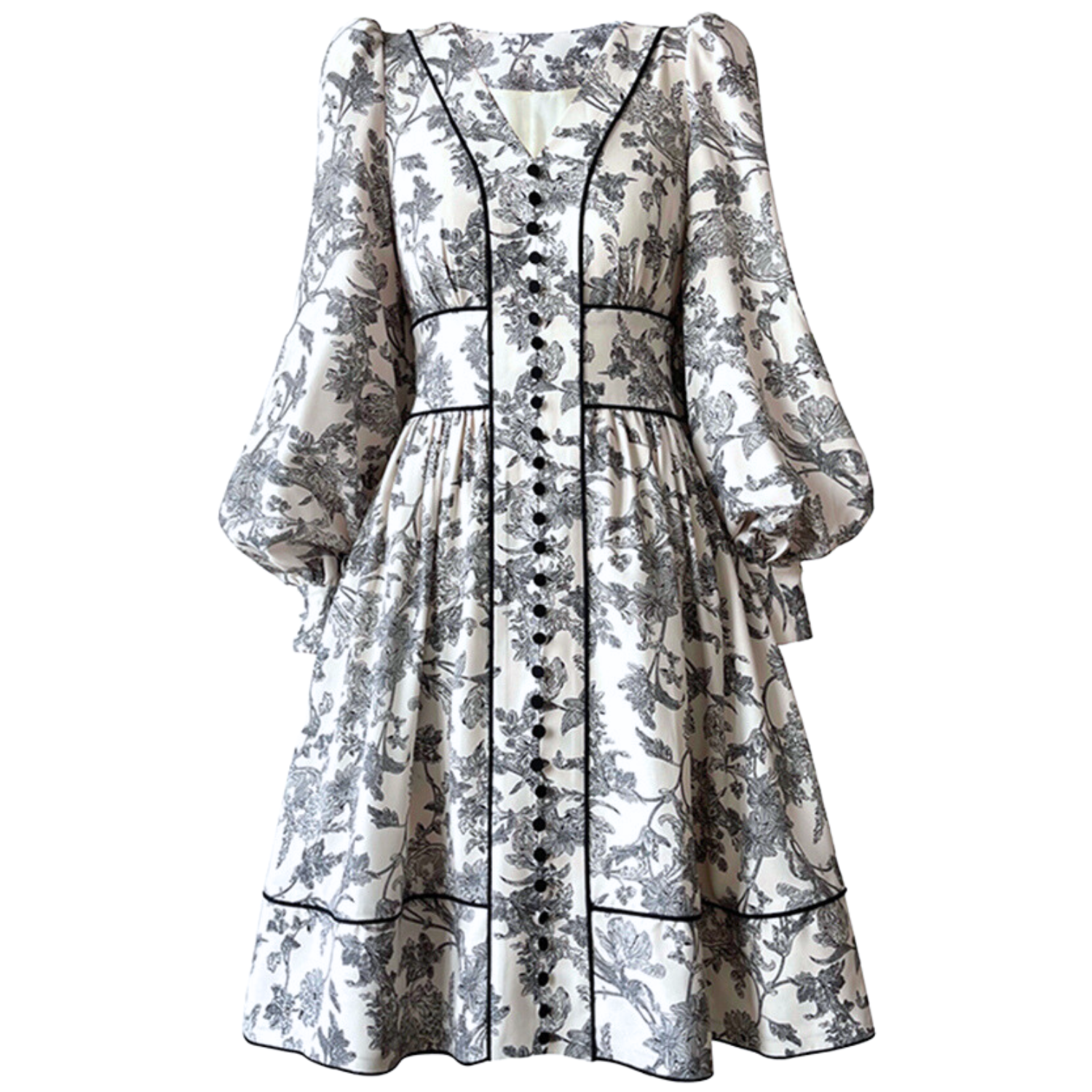 Marsielle Puff Sleeve Printed Aline Dress With Buttons