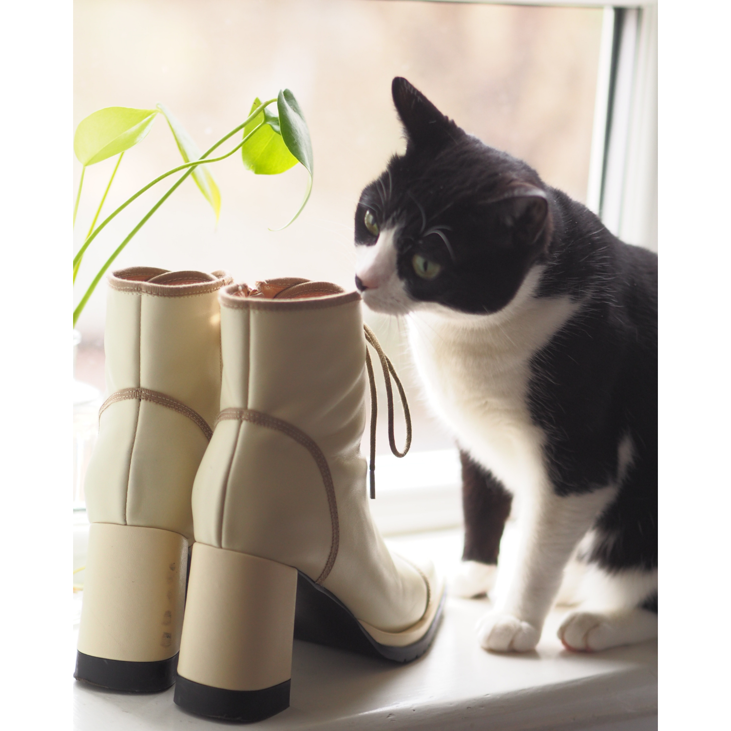 Ankle Vintage Leather Boots with Cord Laces Zalinah White